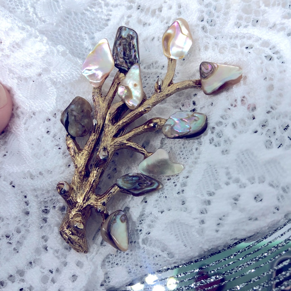 Vintage Abalone Shell Brooch 💙